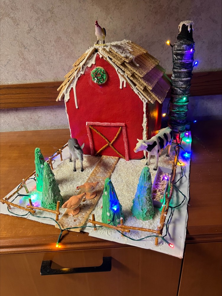 Photo of Gingerbread Contest Entry